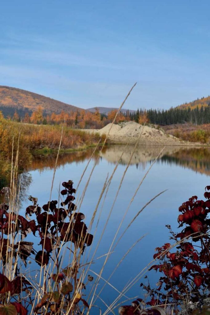 Río tranquilo que refleja el cielo azul y los árboles otoñales, con hierbas altas y plantas de color marrón rojizo en primer plano, y colinas boscosas al fondo bajo un cielo despejado.