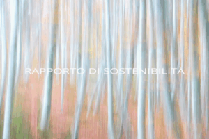 Linee verticali sfocate che ricordano alberi in tenui colori pastello con il testo italiano RAPPORTO DI SOSTENIBILITÀ centrato sull'immagine.