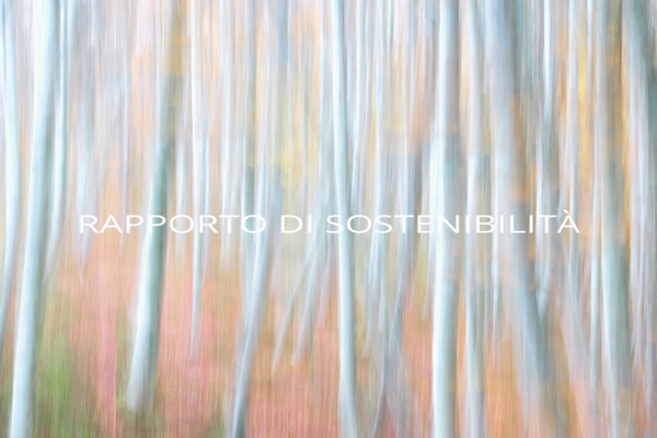 Linee verticali sfocate che ricordano alberi in tenui colori pastello con il testo italiano RAPPORTO DI SOSTENIBILITÀ centrato sull'immagine.