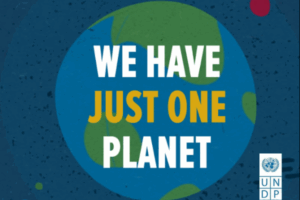 Una grafica della Terra su sfondo blu con il testo Abbiamo un solo pianeta in grassetto. Il logo del Programma delle Nazioni Unite per lo Sviluppo UNDP compare nell'angolo in basso a destra.